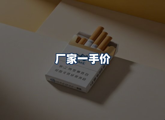 专业团队办公环境